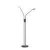Fischer & Honsel Dent Staande lamp LED Zwart, 2-lichts
