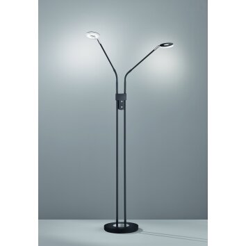 Fischer & Honsel Dent Staande lamp LED Zwart, 2-lichts