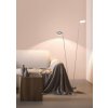 Fischer & Honsel Dent Staande lamp LED Nikkel mat, 2-lichts