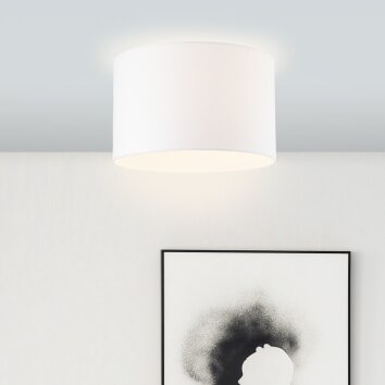 Brilliant Esher Plafondlamp Zilver, 1-licht