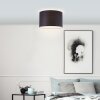 Brilliant Esher Plafondlamp Zilver, 1-licht