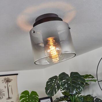 Wichita Plafondlamp Rookkleurig, Zwart, 1-licht