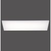 Paul Neuhaus FRAMELESS Plafondlamp LED Wit, 1-licht, Afstandsbediening, Kleurwisselaar