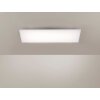 Paul Neuhaus FRAMELESS Plafondlamp LED Wit, 1-licht, Afstandsbediening, Kleurwisselaar