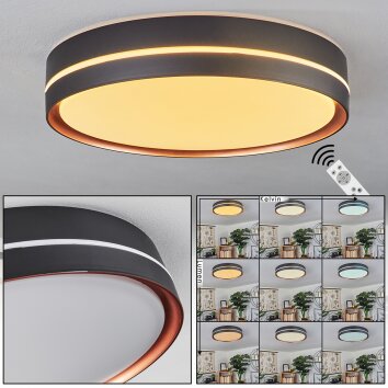 Cachalot Plafondlamp LED Koperkleurig, Zwart, 1-licht, Afstandsbediening, Kleurwisselaar