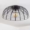 Rivers Plafondlamp Zwart, 1-licht