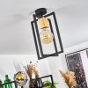 Bergo Plafondlamp Natuurlijke kleuren, Zwart, 1-licht