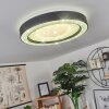 Zeballos Plafondlamp LED Wit, 1-licht, Afstandsbediening, Kleurwisselaar
