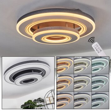 Kolo Plafondlamp LED Grijs, Wit, 1-licht, Afstandsbediening