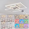 Lithgow Plafondlamp LED Zilver, 2-lichts, Afstandsbediening, Kleurwisselaar