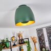 Viking Plafondlamp Groen, 1-licht