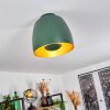 Viking Plafondlamp Groen, 1-licht
