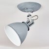 Koppom Plafondlamp Chroom, Grijs, 1-licht