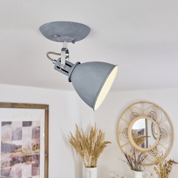 Koppom Plafondlamp Chroom, Grijs, 1-licht