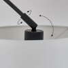 Renfrew Staande lamp Zwart, 3-lichts, Stoffen kap