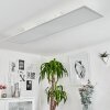 Barasat Plafondpaneel LED Wit, 1-licht, Afstandsbediening