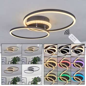 Lithgow Plafondlamp LED Zwart, 2-lichts, Afstandsbediening, Kleurwisselaar
