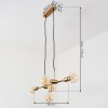 Talmage Hanglamp Messing, 5-lichts