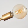 Talmage Hanglamp Messing, 5-lichts