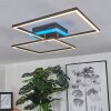 Lithgow Plafondlamp LED Zwart, 2-lichts, Afstandsbediening, Kleurwisselaar
