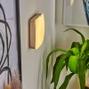 Hutton Muurlamp LED Nikkel mat, 1-licht