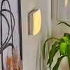 Hutton Muurlamp LED Nikkel mat, 1-licht