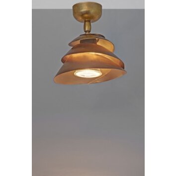 Holländer SNAIL Plafond straler Goud, 1-licht