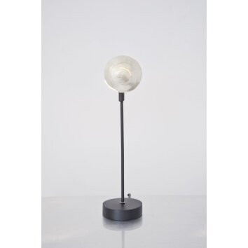 Holländer PICCOLA NAUTILO Tafellamp Zwart, Zilver, 1-licht