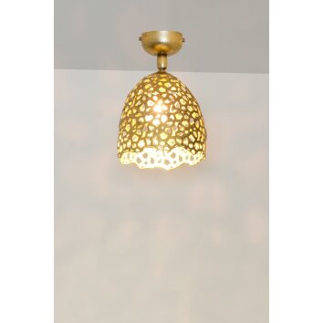 Holländer GIREVOLE Plafondlamp Goud, 1-licht