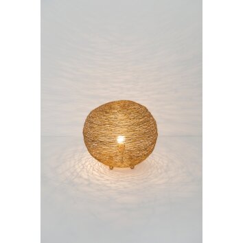 Holländer CAMPANO MEDIUM Tafellamp Goud, 1-licht