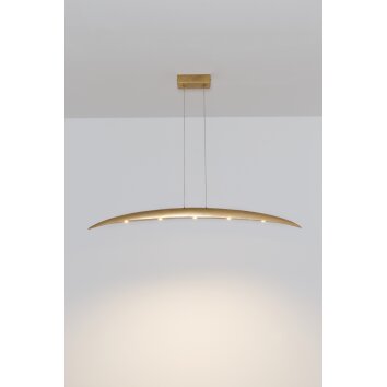 Holländer COSTELLAZIONE Hanger LED Goud, 5-lichts