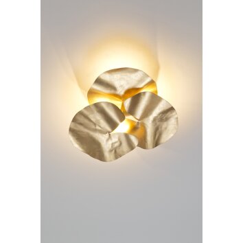Holländer CONTROVERSIA Plafondlamp LED Goud, 4-lichts