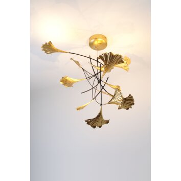Holländer GRACIOSO Hanger LED Goud, 6-lichts