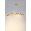Holländer RISO Hanger Goud, 11-lichts