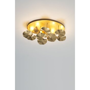 Holländer CONTROVERSIA Plafondlamp LED Goud, 10-lichts