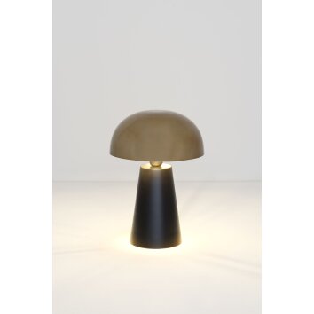 Holländer FUNGO Tafellamp Goud, Zwart, 1-licht