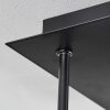 Abramo Plafondlamp LED Zwart, 5-lichts