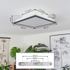 Barasat Plafondpaneel LED Zwart, Wit, 2-lichts