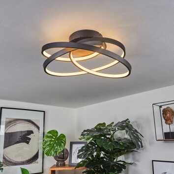 Demaine Plafondlamp LED Zwart, 1-licht