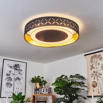 Tallaboa Plafondlamp LED Zwart, Wit, 1-licht