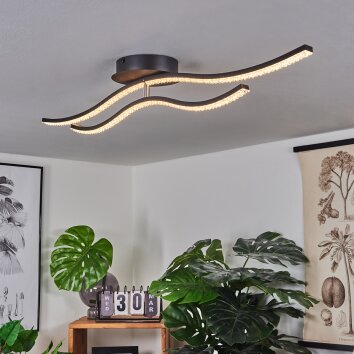 Rheinfelden Plafondlamp LED Zwart, 1-licht