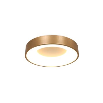Steinhauer Ringlede Plafondlamp Goud, 1-licht