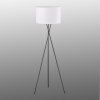 Fischer & Honsel Wotan Staande lamp Zwart, 3-lichts