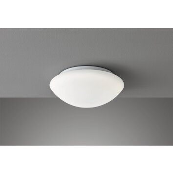 Fischer & Honsel Clara Plafondlamp LED Wit, 1-licht