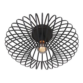 Steinhauer Dunbar Plafondlamp Zwart, 1-licht