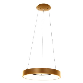 Steinhauer Ringlede Hanglamp Goud, 1-licht
