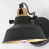 Steinhauer Nové Muurlamp Goud, Zwart, 1-licht