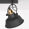 Steinhauer Nové Plafondlamp Goud, Zwart, 2-lichts