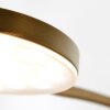 Steinhauer Platu Staande lamp LED Brons, 1-licht