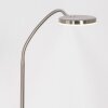 Steinhauer Platu Staande lamp LED roestvrij staal, 1-licht